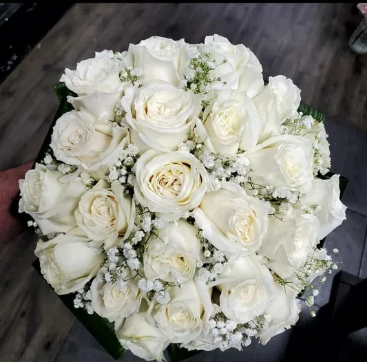 Elegant White Rose